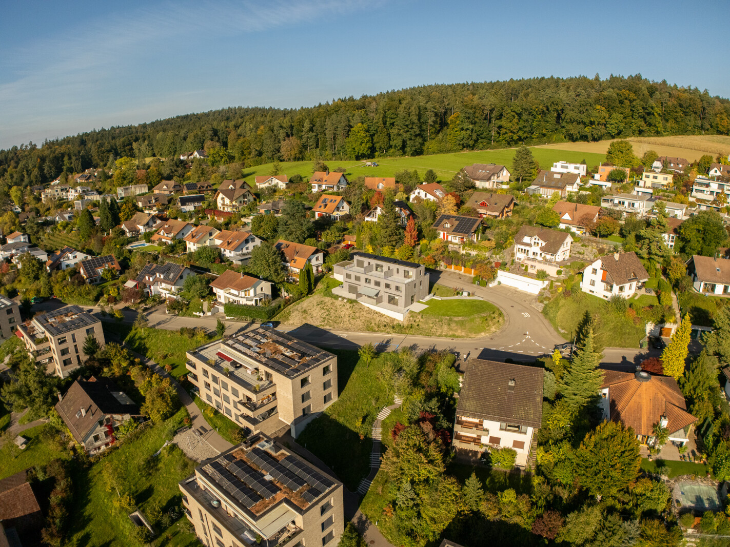 Bild des Projektes