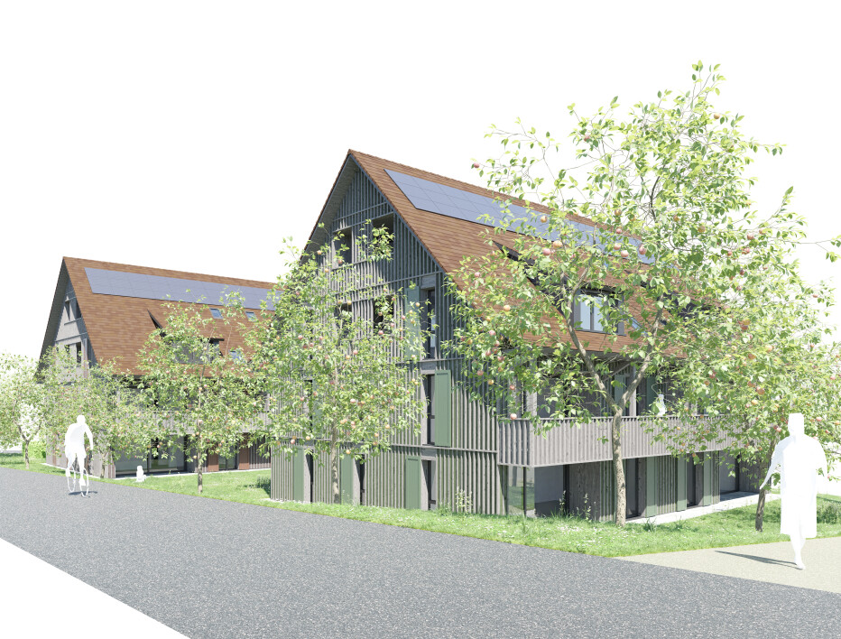 Titelbild des Projektes 2 MFH Schulweg 17 & 19, Grafstal Lindau